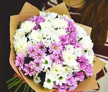 Букет цветов из:  Хризантемы #REPLACE_PRED# Свободный