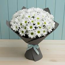 Букет цветов из:  Хризантемы в Свободный