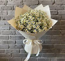 Букет цветов из:  Ромашки в Свободный