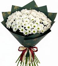 Букет цветов из:  Хризантемы #REPLACE_PRED# Свободный