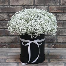 Цветочная композиция из Гипсофила в шляпной коробке в Свободный