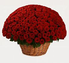 Премиум букет из: Розы в Свободный